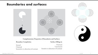 Grossbergian Neuroscience 03: What Art \u0026 Illusion Can Tell Us About the Brain