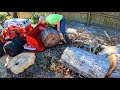 Moving A Tree (DIY Concrete Patio EP 3)