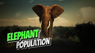 Elephant Population