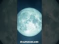 🌑 full moon 🌑 night sounds night ambience forest ambience sounds to sleep to deep sleep