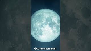 🌑 Full Moon 🌑 Night Sounds | Night Ambience | Forest Ambience | Sounds to sleep to | Deep Sleep