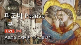 [121]이탈리아 베니스 근교 파도바 Padova Day2-1 만약, ‘이 것’을 보지 않았다면 ‘파도바’를 보신게 아닙니다. 꼭 보시길 추천!!!