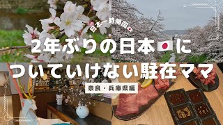 【子連れ・日本🇯🇵一時帰国②】2年ぶりの日本の変化に驚愕しっぱなしの駐在ママ