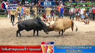 ลังสาดขุนแผนจิ๋ว (ขุนแผน) VS โหนดหลังขาวเพชรสองภาค (อ้ายเดือนสิบ) 8/7/67