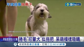 狗界奧斯卡! 3千隻狗.逾210犬種競逐爭冠\