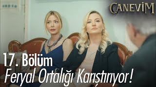 Tanbay ailesi Ceylan'ı istemeye gidiyor! - Canevim 17. Bölüm | Final