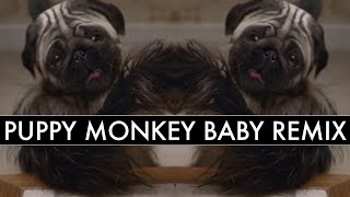 Puppy Baby Monkey Remix (Kevin Ryder/Mike Relm)