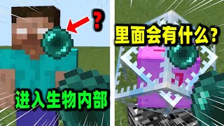 我的世界：用末影珍珠进入Him的内部世界，会是什么样？【Minecraft】