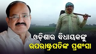 Special Story | MLA Farmer Of Odisha | All Praise For Dabugam MLA