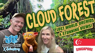 🌿 Exploring Singapore's Cloud Forest: Lost World, Orchids \u0026 Stunning Views! #cloudforest #singapore