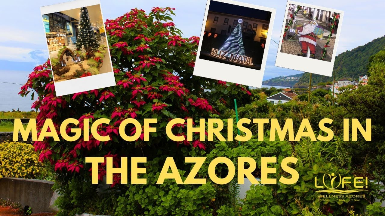 Experience The Magic Of Christmas In The Azores! - YouTube