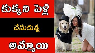 కుక్కని పెళ్లి చేసుకున్న British అమ్మాయి | Girl Married Dog #Shorts #Ytshorts