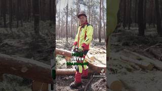 Holz unter Spannung. Achtung gefahr! Wald Forst Waldarbeiter Kettensäge Motorsägenkurs