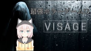 P.T.越え!?最強ホラーゲーム耐久放送【Visage】