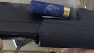 Winchester SXP Pump Shotgun ASMR