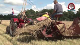 Rogge maaien op de ouderwetse manier in Smeerling