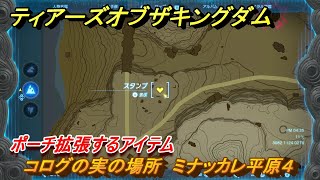 ティアキン　コログの実の場所　ミナッカレ平原４　ポーチ拡張するアイテム　＃８１８　【ゼルダの伝説ティアーズオブザキングダム】