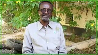 Warbixin laga qoray qaabkii Somaliland u maaraysay Covid 19