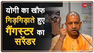 Yogi सरकार में कुख्यात गैंगस्टर का ऐसा सरेंडर कभी नहीं देखा होगा. | Original | Gangster | UP |