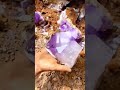 digging for amethyst an up close look at the gemstone discovery process