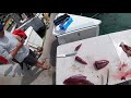 tuna fishing in hawaii huge bird pile rubbish deep sea fishing oahu