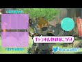 【攻略】木の矢が足りなくて困っている方へ！木の矢の無限入手法を３つ紹介します！【ゼルダの伝説 ブレスオブザワイルド】