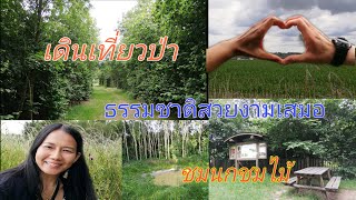 พาเดินเที่ยวป่า​ สูดอากาศ​บริสุทธิ์​ #ชมนกชมไม้​ ความสุข​ที่หาได้ง่ายๆ​ ใกล้ตัวเรา​