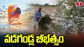 Hail disaster Across Nizamabad District | Huge Crop Loss | T News