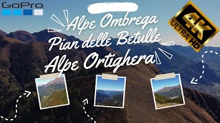 Pian delle Betulle , Alpe Ortighera , Alpe Ombrega [4K]