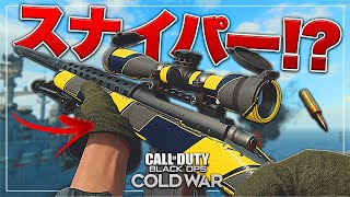 【COD:BOCW】今作のスナイパーは終了しました【決別の時】