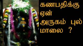 கணபதிக்கு ஏன் அருகம்புல் மாலை  வழிபாடு ? | Ganapathyku yen Arugampul maalai