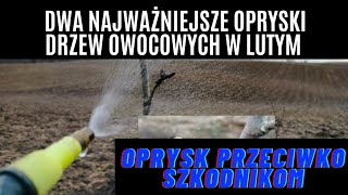 Dwa najważniejsze opryski drzew owocowych w lutym. Zrób je i zapomnij o szkodnikach drzew.