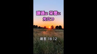 謙遜は栄誉に先立つ！一発であなたを元気にする！聖書の言葉シリーズ【94】#Shorts