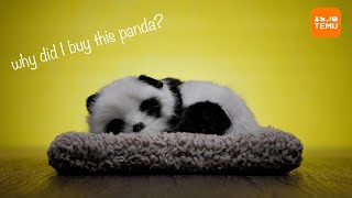 TEMU Sleeping Panda Review 2024 Why did I buy this Panda?