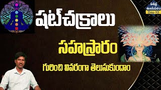 Day-10|patriji tulasidalam| షట్ చక్రాలు-సహస్రారం |7chakras and sahasraram|ramumaster|#nlight tv