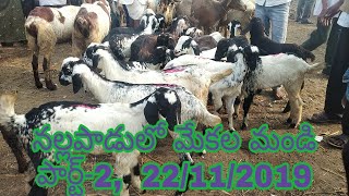 Nallapadu Bakiri Market- నల్లపాడులో మేకల మండి 8247406087,పార్ట్-2