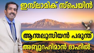 ഇസ്ലാമിക് സ്പെയിൻ | ആന്തലുസിയൻ പരുന്ത് l അബ്ദുറഹിമാൻ ദാഹിൽ