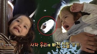 [60초 에디터Pick] 사자 우리에 신발이 빠져 눈물바다가 된 건나블리ㅠㅠ ㅣ KBS방송