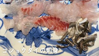 【脂がのってる】コショウダイのお刺身