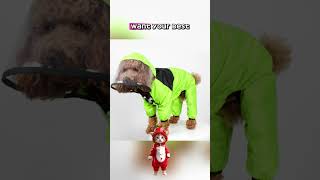 Introducing our new Dog Raincoat at #itemoasis #pets #dog  #fypシ゚ #cute #funny #doglover #funnydogs