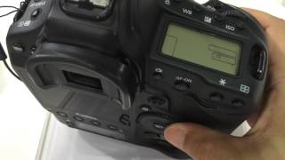 Canon EOS-1D X : Shutter Sound