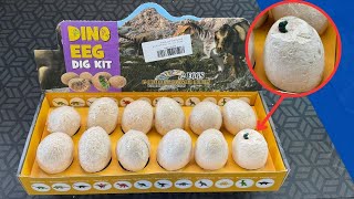 Dinosaur Eggs Excavation Dig Kit