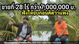 ขายที่ไร่นาสวนผสม 28 ไร่กว่าๆ 7,000,000 บาท แพงไหม# น้ำไฟ สิ่งปลูกสร้าง