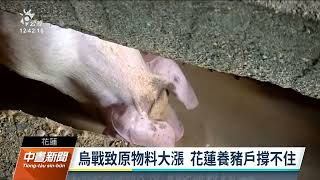 飼料價格飆漲 花蓮養殖業者盼開放廚餘養豬｜20220427 公視中晝新聞