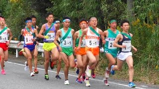 2015 千葉県高校駅伝 男子 1区