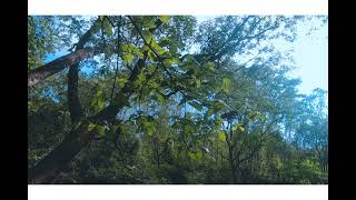 এ হাওয়া- E Hawa Lyrice Video |Meghdol X Hawa Film |Aluminium Er Dana