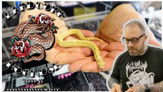 Lemon Ghost Conda Hognose Snake Plus More With Jeff Goldblatt From Hardcore Hognose