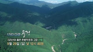 UHD 다큐 풍경 -  지리산이 품은 한방약초의 도시... 산청 / 연합뉴스TV (YonhapnewsTV)