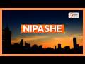 NIPASHE ~ JUNE 4TH, 2026