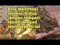 si Mbah Nate dawuh tanah jenis seperti ini bisa menyesal seumur hidup.ramalan Jayabaya